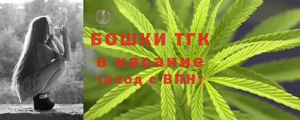 хмурый Лиски