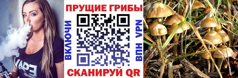 Псилоцибиновые грибы мухоморы  Себеж 